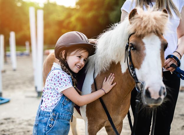 Das Leben ist ein Ponyhof