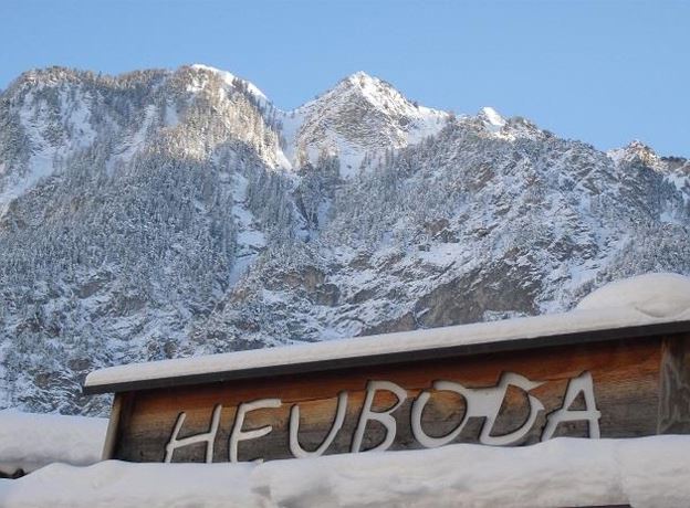 Live Musik mit Alex Pezzei im Heuboda