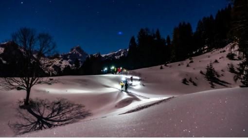 Berg & Fit - Snowshoe 'evening walk'