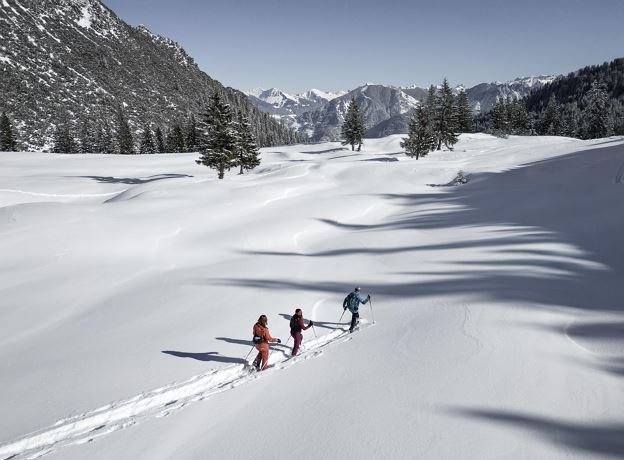 BergAKTIV - Geführte Schneeschuhwanderung Natur intensiv